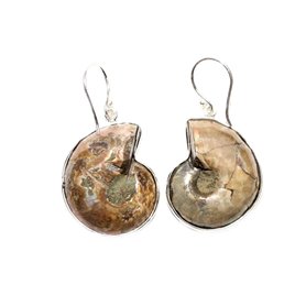 Ohranhänger Ammonit Silber gefasst 1Paar, Fossilien, Ohrring Edelstein Heilstein Zen Manufaktur ORIZM01