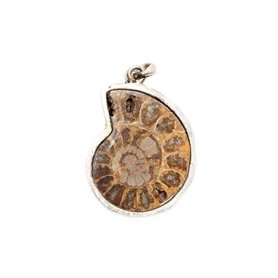 Ammoniten Kettenanhänger mit Silberfassung, Edelstein Anhänger Zen Manufaktur ESGZM14