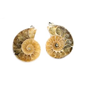 Ammoniten Kettenanhänger mit Öse, Edelstein Anhänger Zen Manufaktur ESGZM15